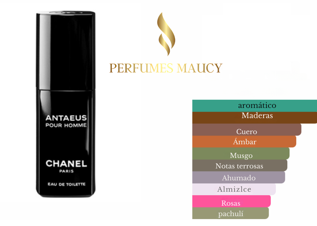 Antaeus Chanel