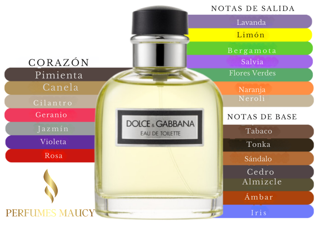 Dolce Gabbana Pour HommeDolce & Gabanna