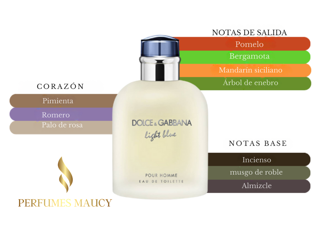 Light BlueDolce & Gabanna