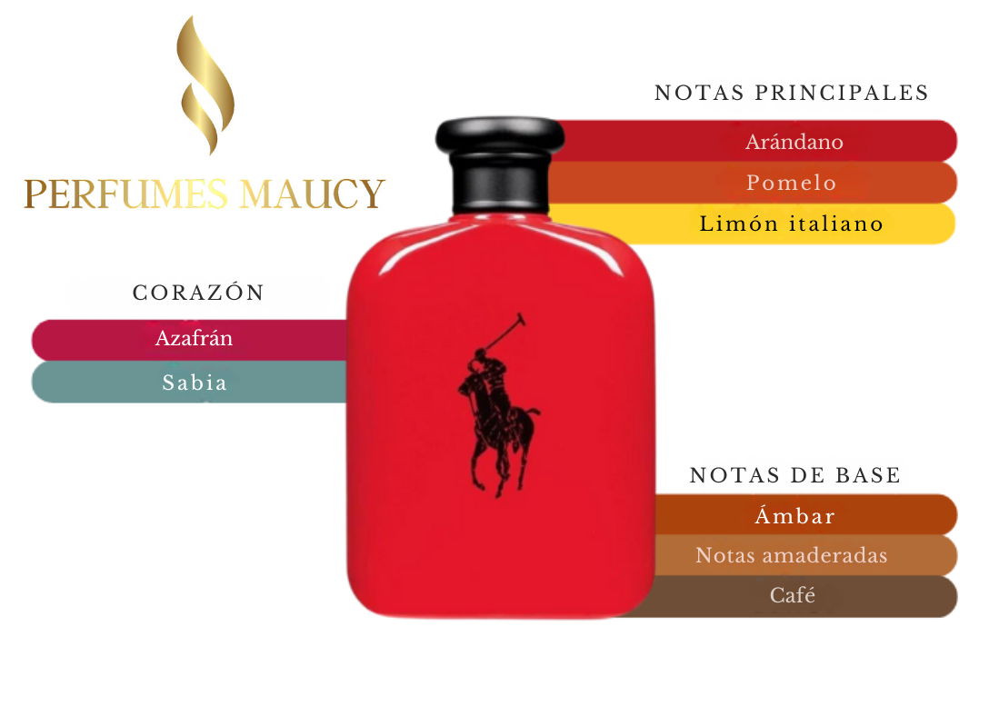 Polo Red Ralph Lauren