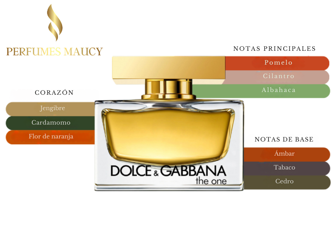 The One Dolce & Gabanna