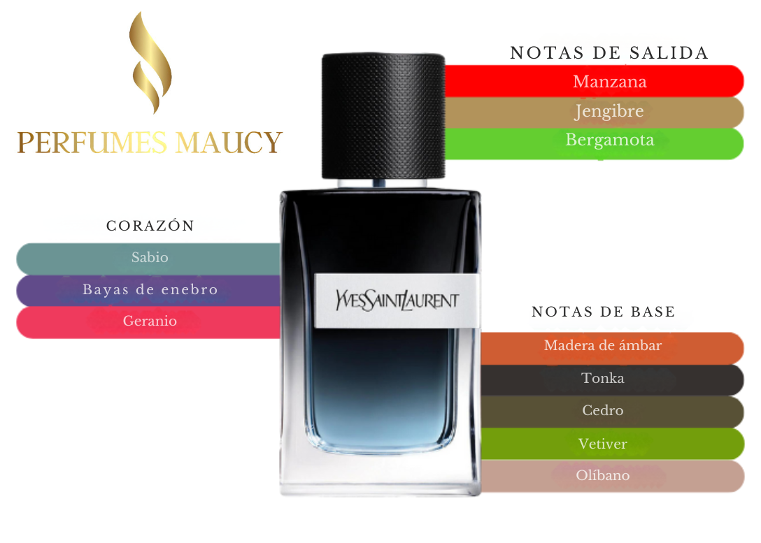 Y Yves Saint Laurent