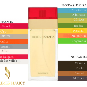 Dolce & Gabbana