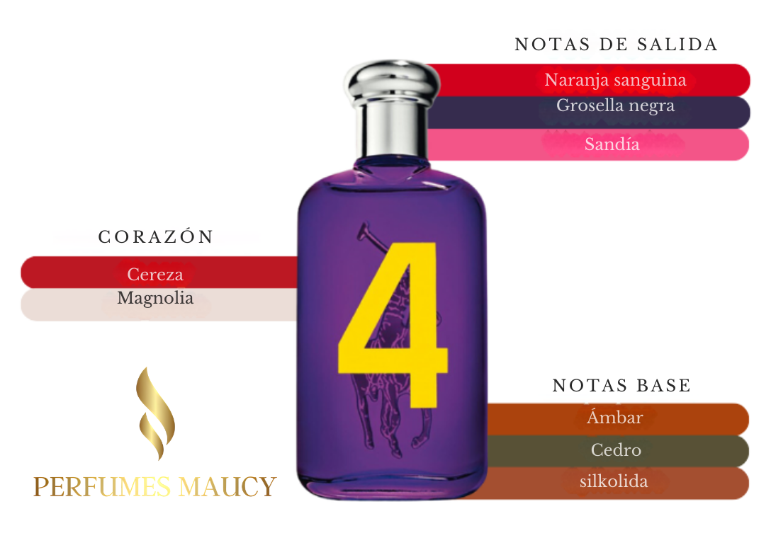 Big Pony 4 Ralph Lauren